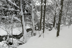 Winterwanderung 2019-120