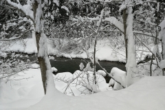 Winterwanderung 2019-121