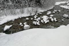Winterwanderung 2019-122