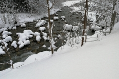 Winterwanderung 2019-123