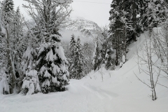 Winterwanderung 2019-124