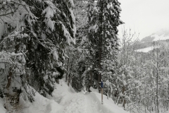 Winterwanderung 2019-129