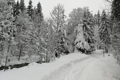 Winterwanderung 2019-131