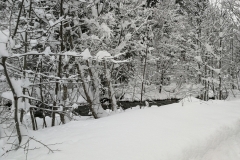 Winterwanderung 2019-132