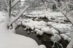 Winterwanderung 2019-134