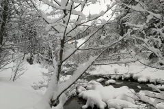 Winterwanderung 2019-135