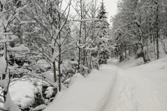 Winterwanderung 2019-136