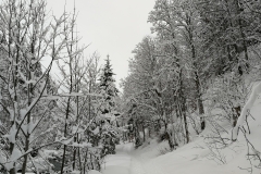 Winterwanderung 2019-138