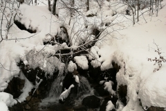 Winterwanderung 2019-139