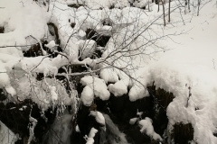 Winterwanderung 2019-140