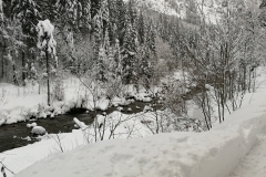 Winterwanderung 2019-141