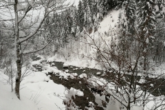 Winterwanderung 2019-142