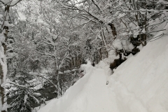 Winterwanderung 2019-145