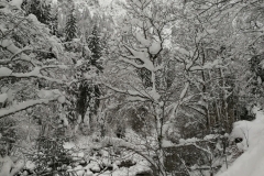 Winterwanderung 2019-146
