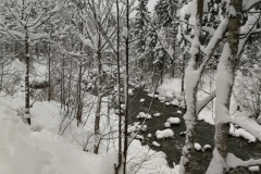 Winterwanderung 2019-147