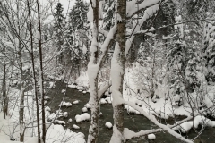 Winterwanderung 2019-148